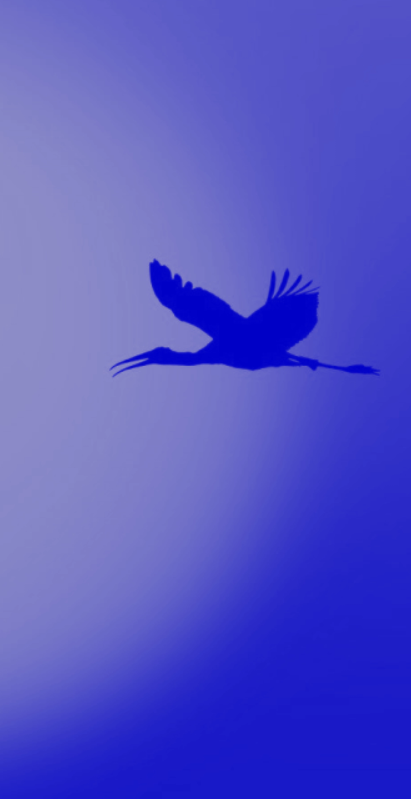 Development  Services We Offer