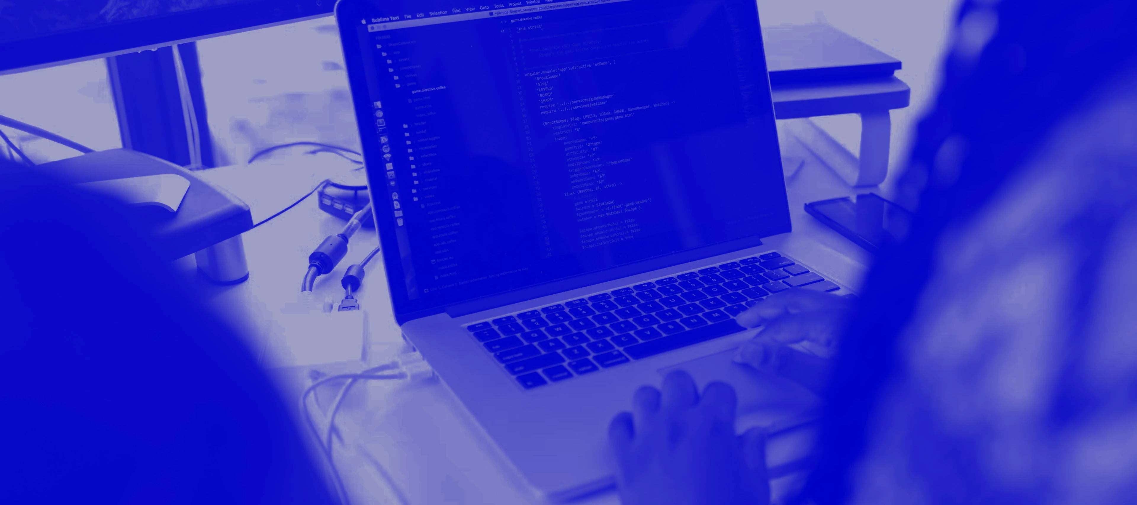 Data Science Services