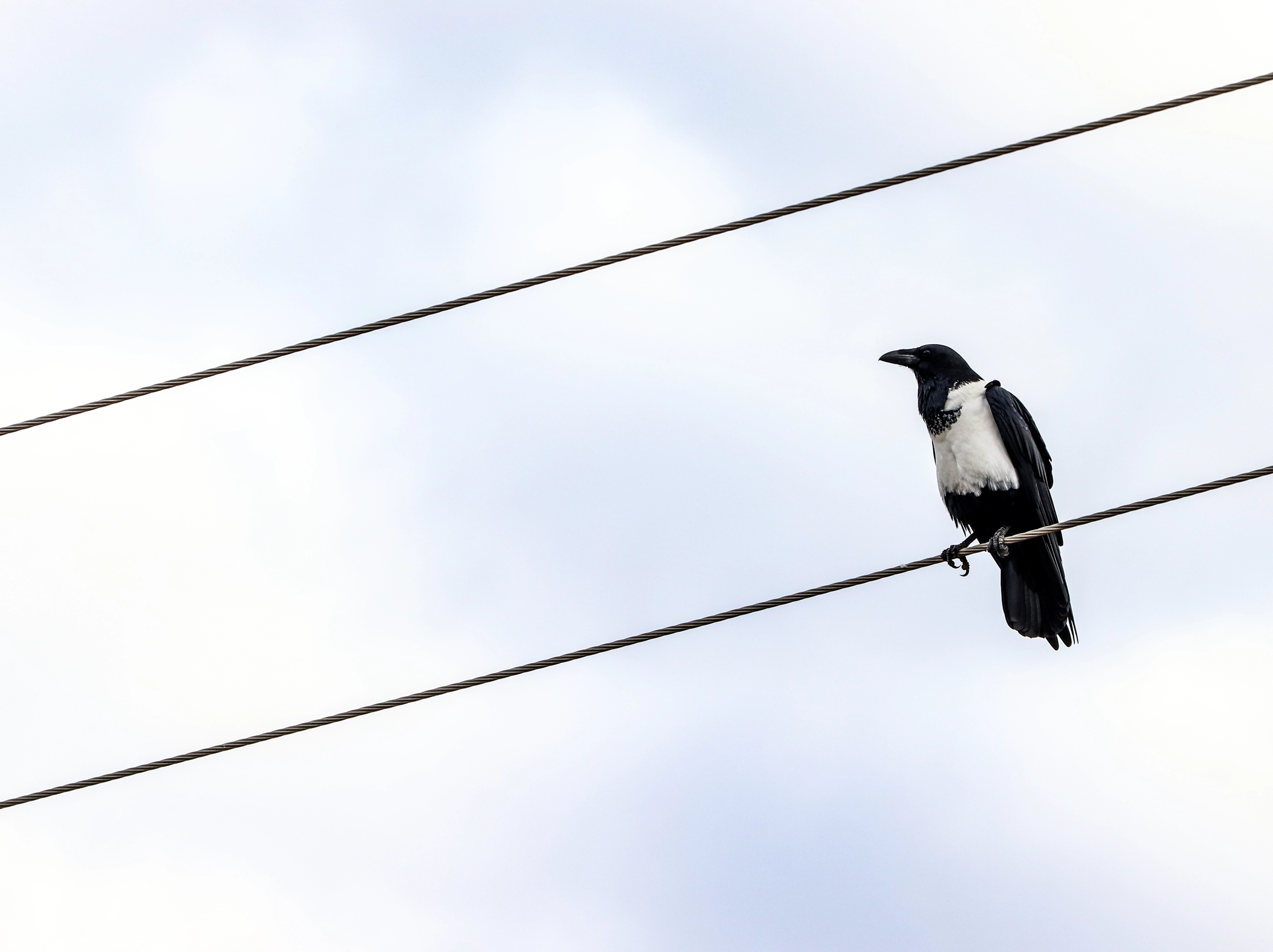 Aligning business analysts, engineering, and business teams for 2026 BI workloads