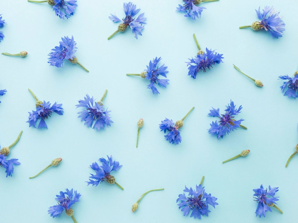 Why Java 21 Is Still the Enterprise Standard