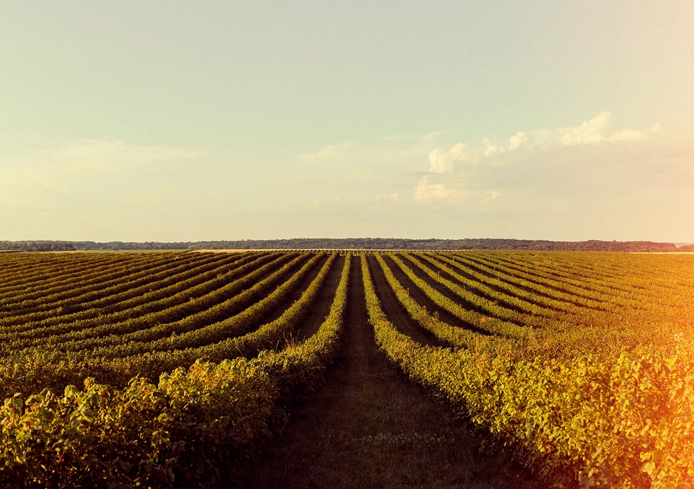 How to Get the Most Out of Amazon Redshift: A Practical Guide for Analytics Teams