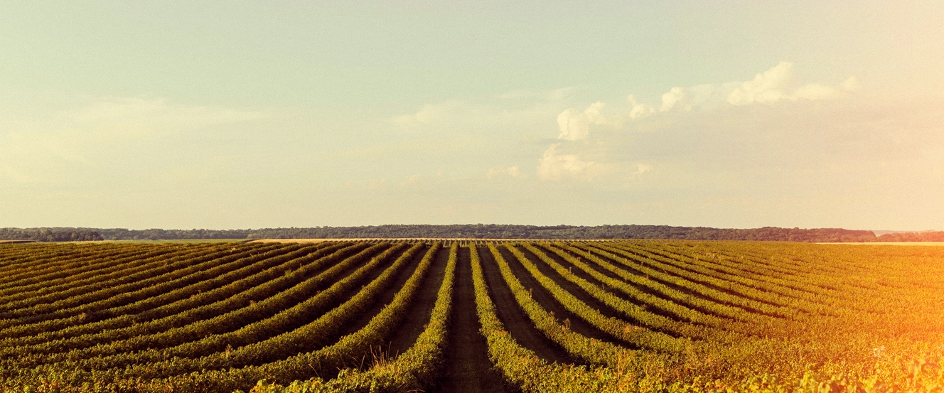 How to Get the Most Out of Amazon Redshift: A Practical Guide for Analytics Teams