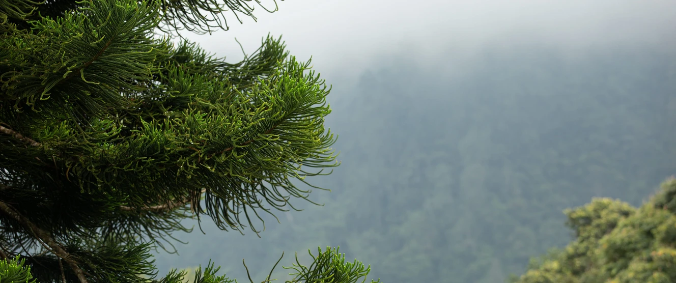 A Telco Data Model in Power BI: From CDRs to ARPU/Churn Dashboards Without Query Timeouts