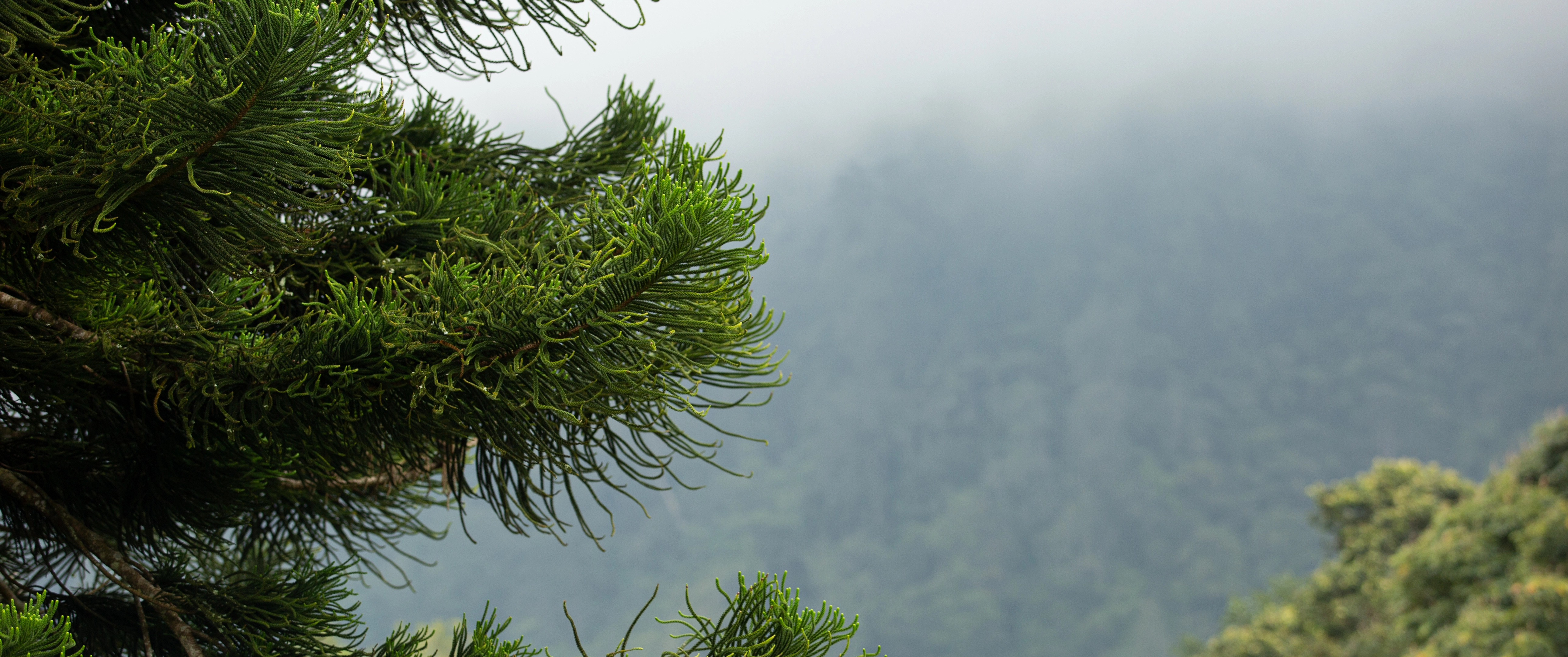 A Telco Data Model in Power BI: From CDRs to ARPU/Churn Dashboards Without Query Timeouts