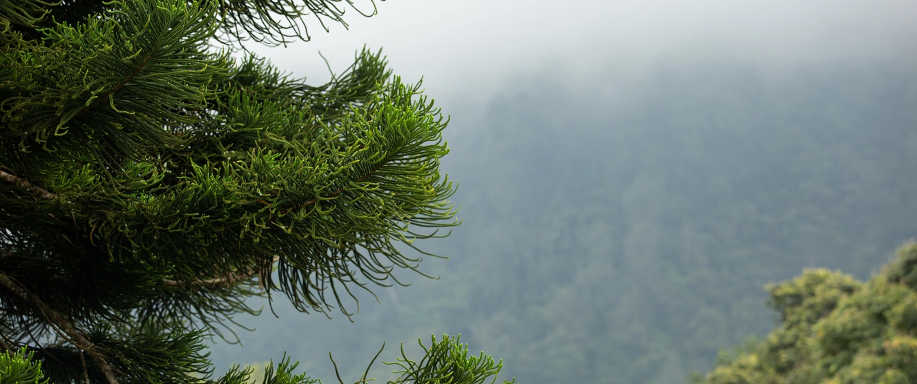 A Telco Data Model in Power BI: From CDRs to ARPU/Churn Dashboards Without Query Timeouts