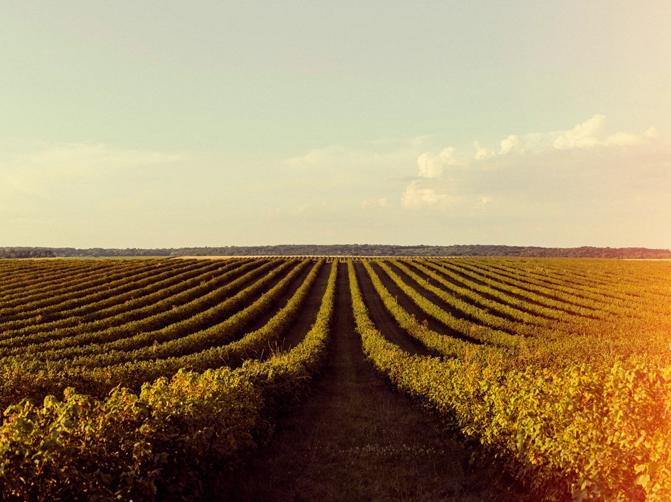 How to Get the Most Out of Amazon Redshift: A Practical Guide for Analytics Teams