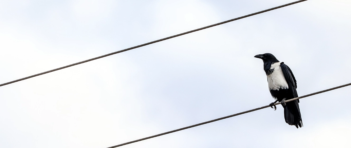 Aligning business analysts, engineering, and business teams for 2026 BI workloads