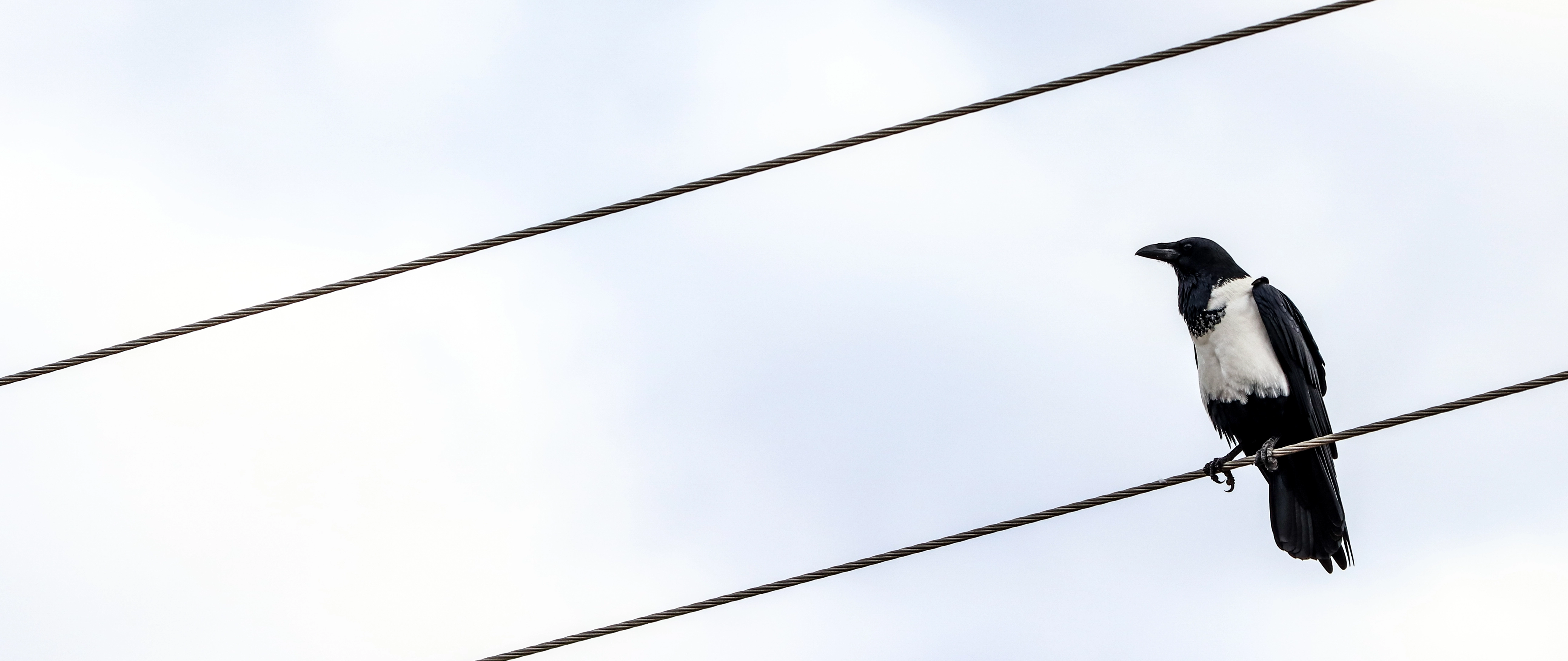 Aligning business analysts, engineering, and business teams for 2026 BI workloads