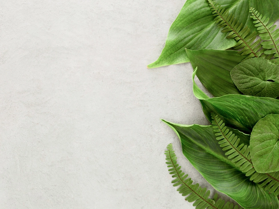 Lightweight Data Governance for BI: Ownership, Lineage, and Data Contracts That Don’t Slow Delivery