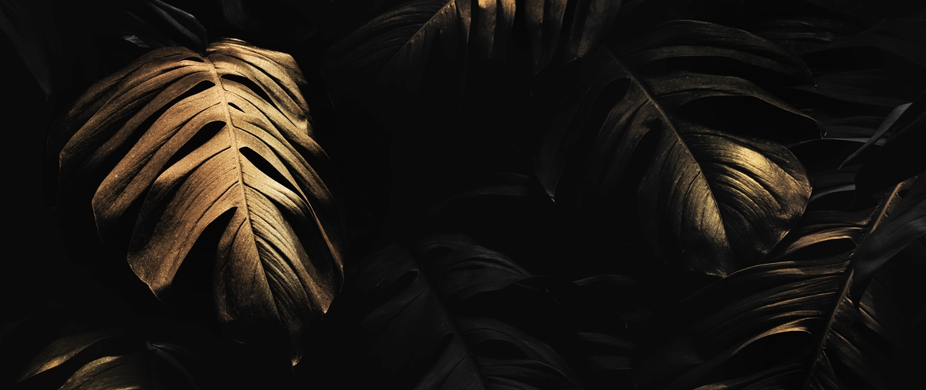 Abstract landscape banner image used as a visual header for a blog article