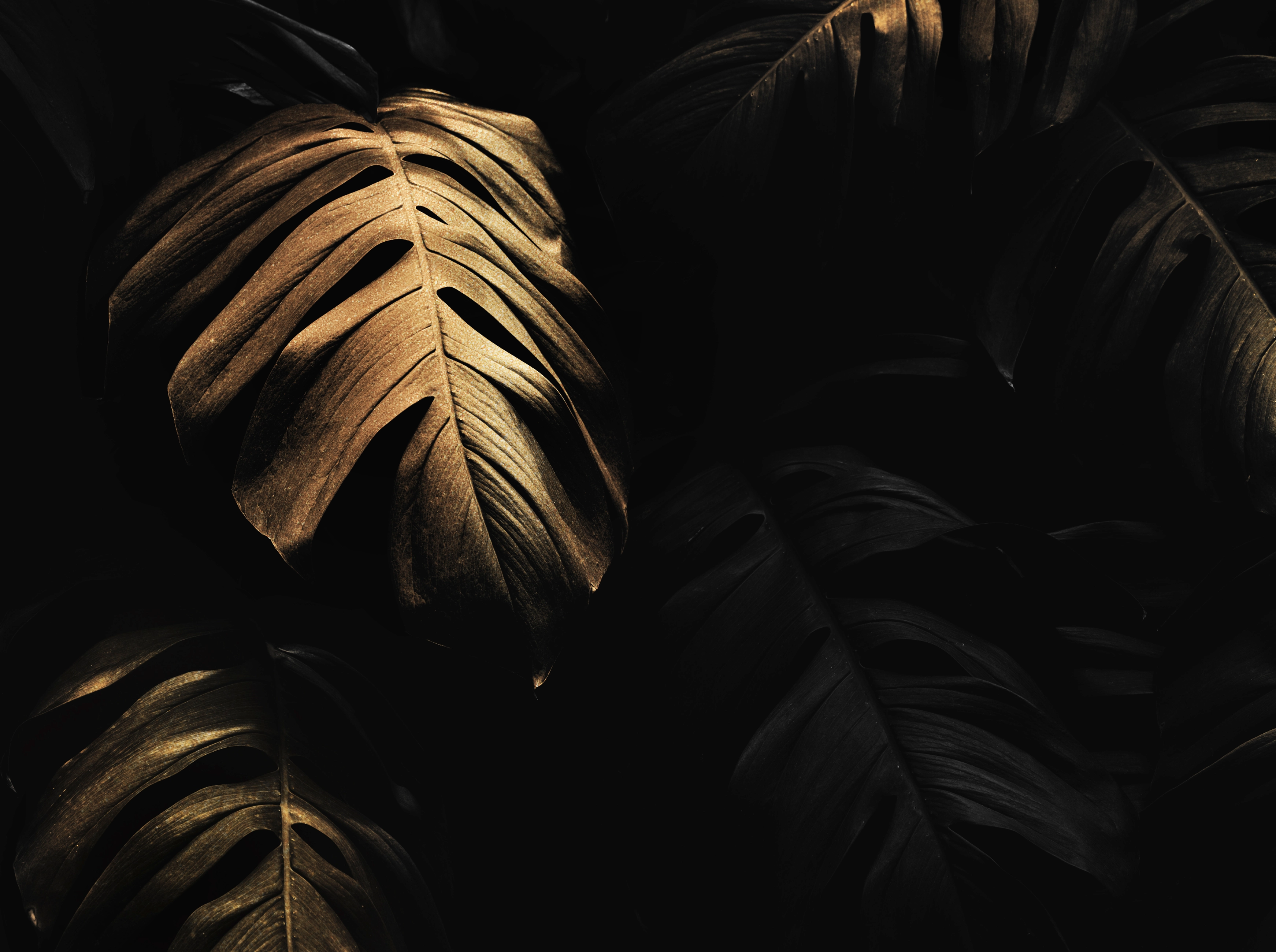 Abstract landscape banner image used as a visual header for a blog article