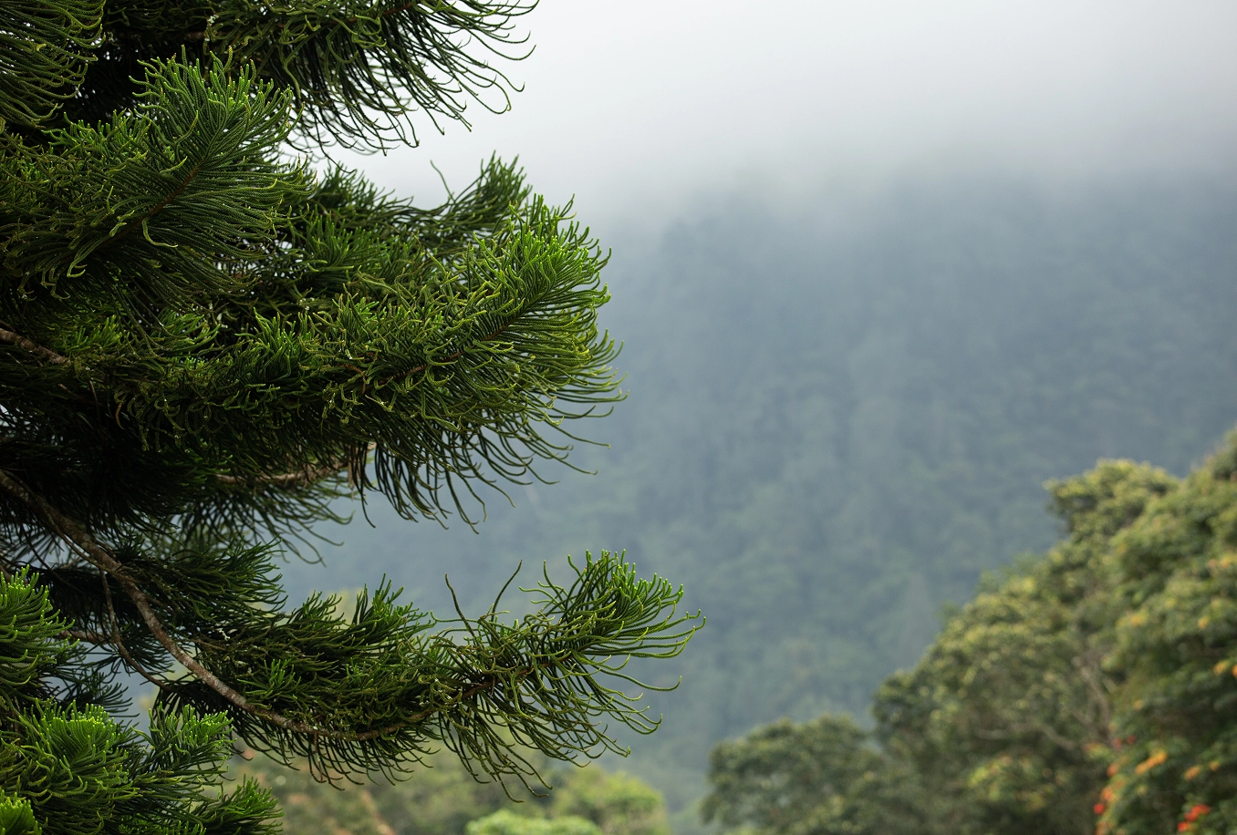 A Telco Data Model in Power BI: From CDRs to ARPU/Churn Dashboards Without Query Timeouts