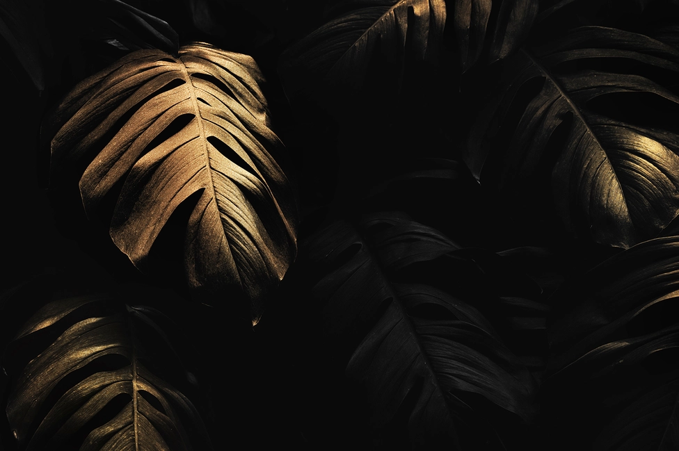 Abstract landscape banner image used as a visual header for a blog article