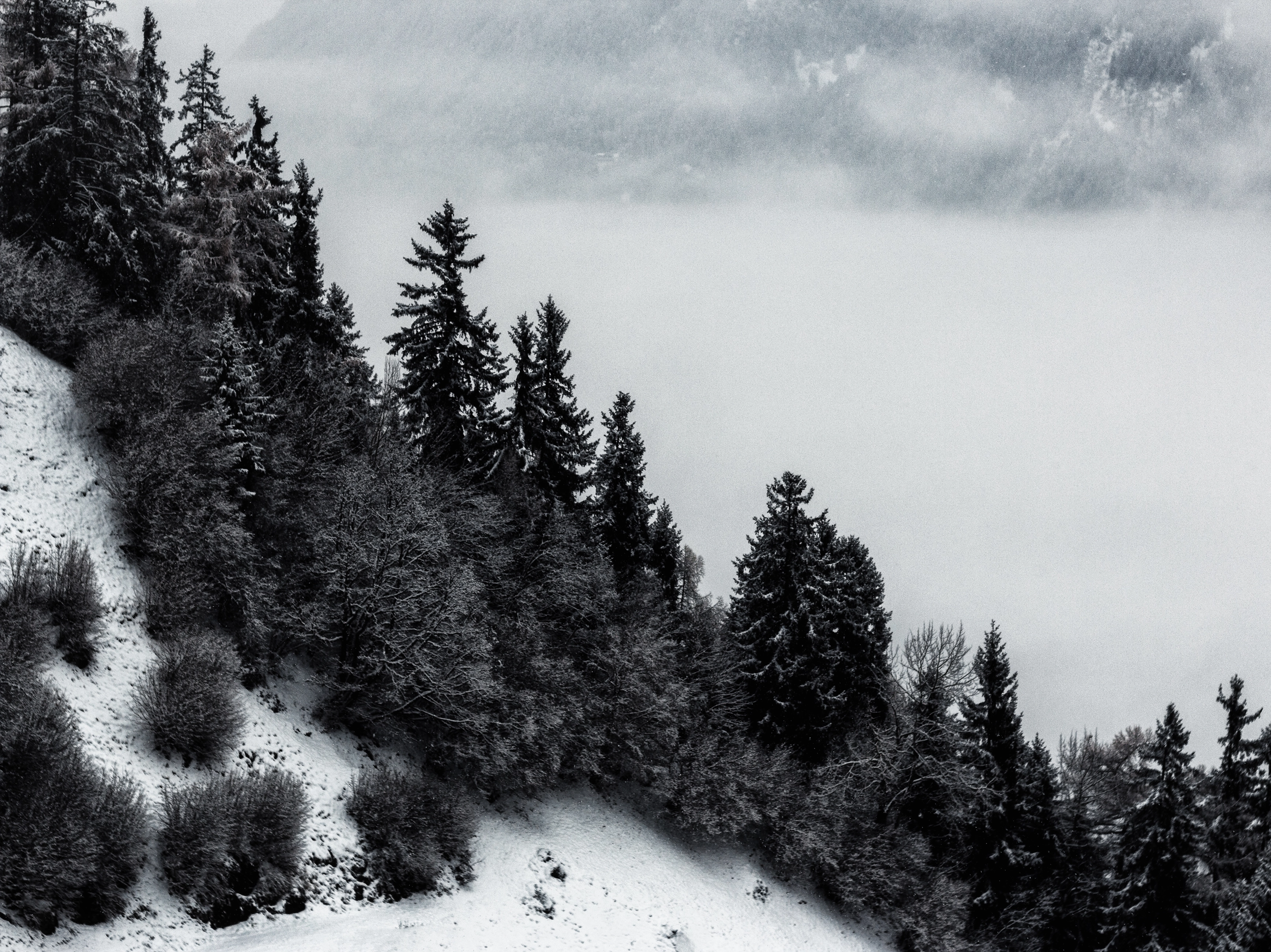 Building predictable BI in 2026 — cost control and consistent metric logic across Microsoft Fabric and Quick Suite