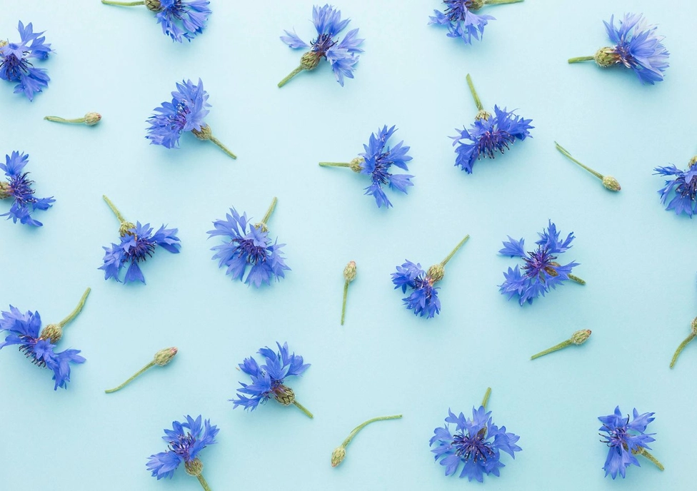 Why Java 21 Is Still the Enterprise Standard