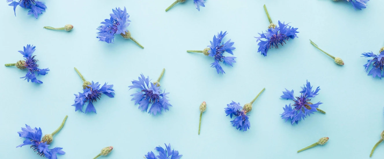 Why Java 21 Is Still the Enterprise Standard